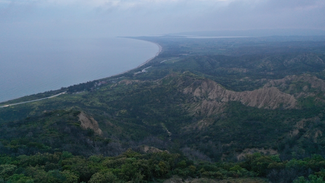 Galeri