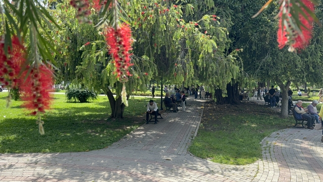 Adana'da termometreler 41 dereceyi gösterdi