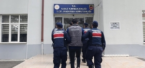 Çankırı'da büyükbaş hayvan çalan şahıslar tutuklandı