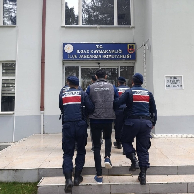 Çankırı'da büyükbaş hayvan çalan şahıslar tutuklandı