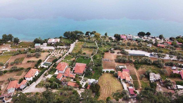 Galeri