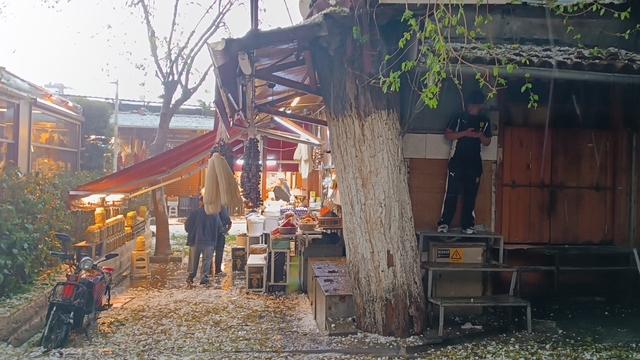 Galeri