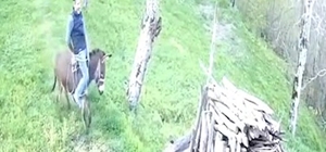 Huysuzlanan eşekten düştü; o anlar kamerada