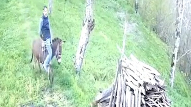 Huysuzlanan eşekten düştü; o anlar kamerada