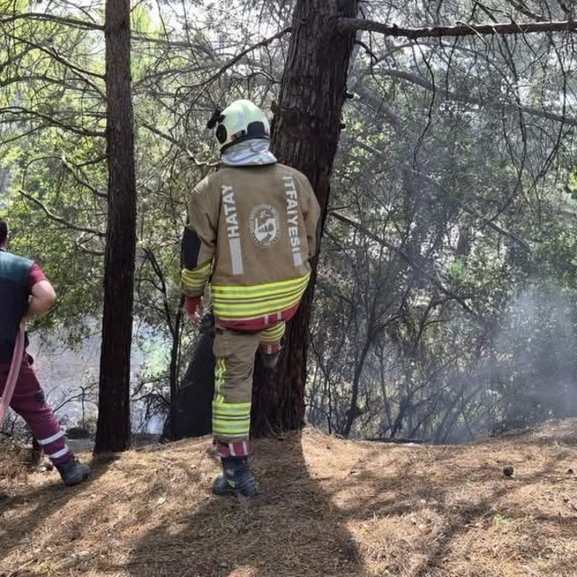 İskenderun'da orman yangını kontrol altına alındı