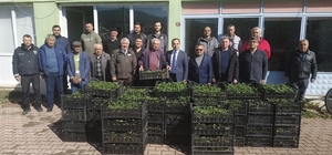 Bilecik'te 8 bin çilek fidesi üreticiyle buluştu