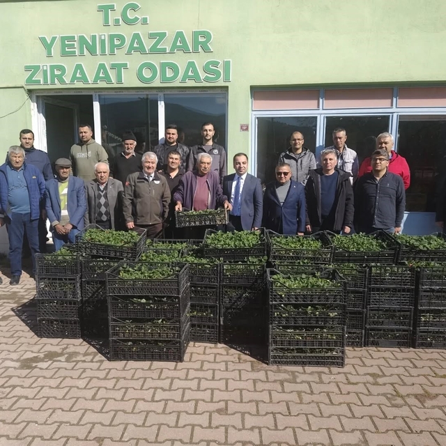 Bilecik'te 8 bin çilek fidesi üreticiyle buluştu