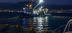 Gemlik Körfezi'nde sardalya avcılığı başladı
Amatör teknelere önemli uyarı...