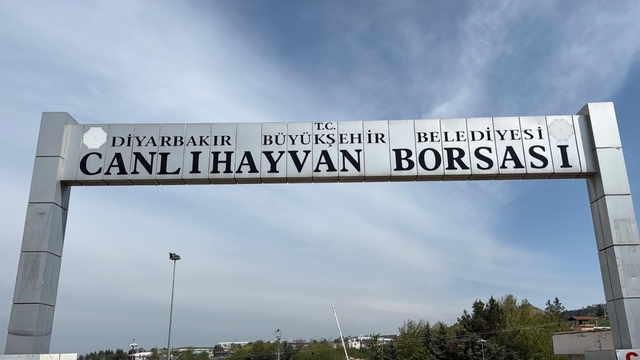Diyarbakır Canlı Hayvan Borsası tadilata alındı