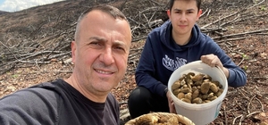 Baba ve oğlunun yüzünü güldüren mantar avı
Tavşanlılı esnaf İsa Gündüz ve o...
