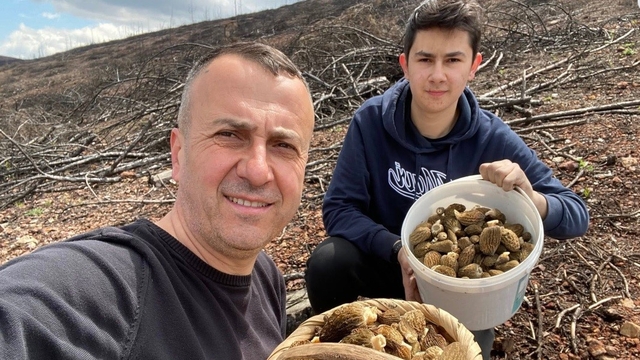 Baba ve oğlunun yüzünü güldüren mantar avı
Tavşanlılı esnaf İsa Gündüz ve oğlu Behlül Gündüz, bereketli bir hasatla 4 sepet kuzu göbeği mantarı topladı