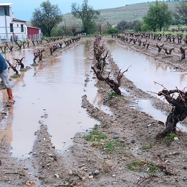 Elazığ'da dolu yağışı sonrası hasar tespit çalışması