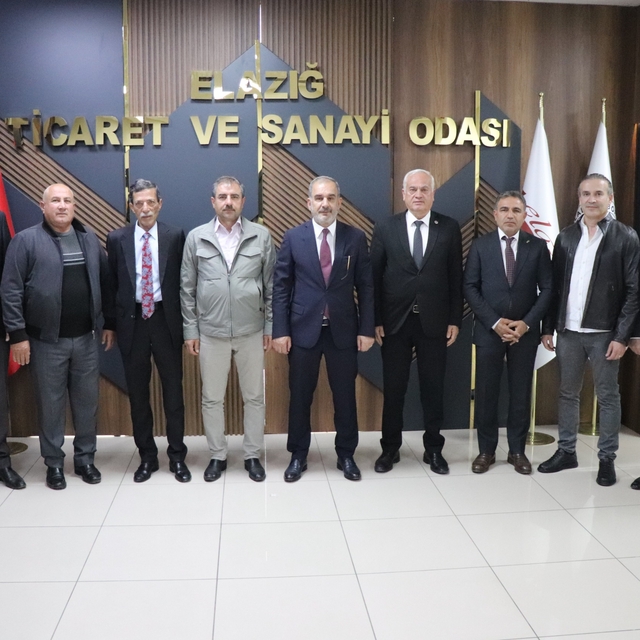 Başkan Alan Karakoçan'ın sorunlarını Vali Hatipoğlu'na iletti