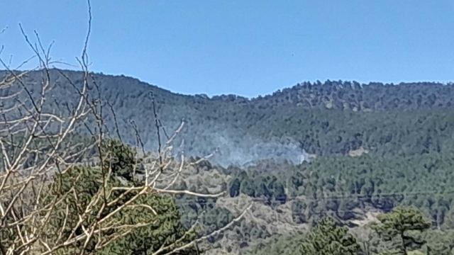 Galeri