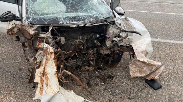 Malatya'da tabelaya çarpan otomobildeki 2 kişi yaralandı