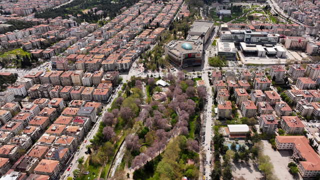 Galeri