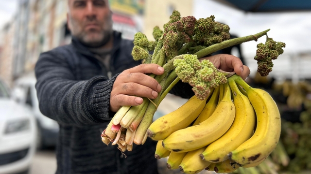 Yayla muzu uçkun tezgaha çıktı