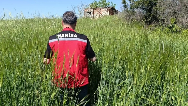 Sarıgöl'de huhubatta verim için ekipler sahada