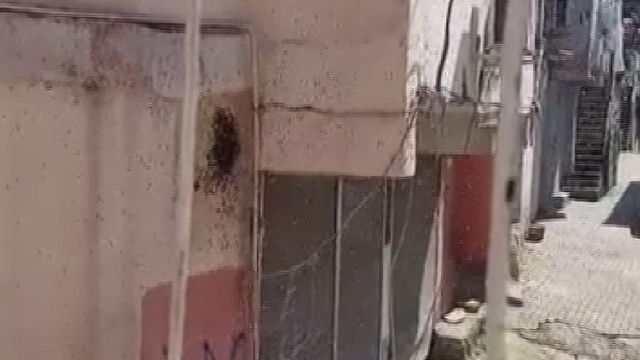 Yıllardır mahalleyi mesken tutan arıları çocukların attığı taş kızdırdı