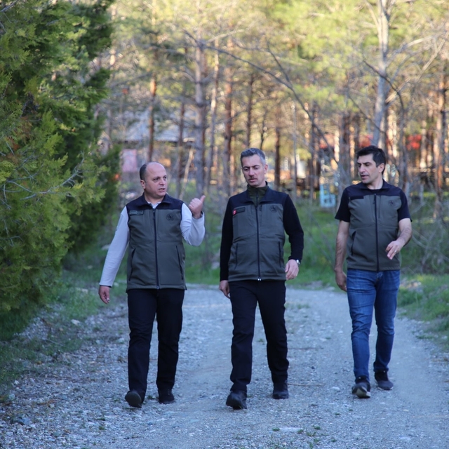 Erzincan'da orman projeleri incelendi