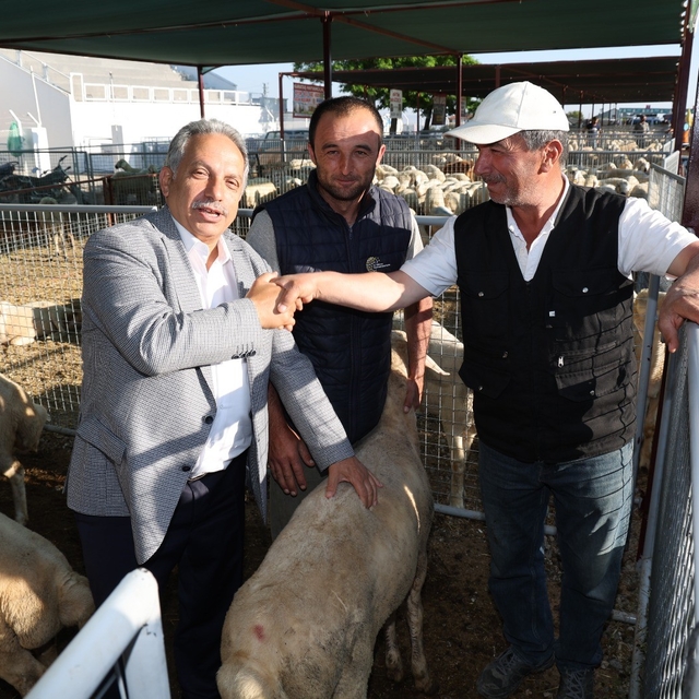 Talas'ta Kurban Pazarı başvuru tarihi belli oldu