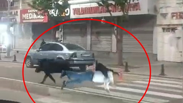 Kent merkezine inen yaban domuzu, 3 kişiyi yaraladı