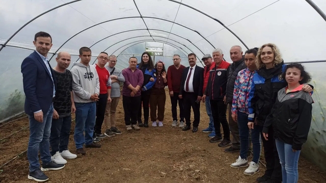 Sinop'ta özel bireylerden fide dikimi etkinliği