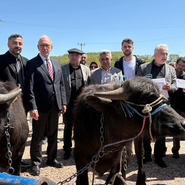 Kocaeli'deki manda yetiştiricilerine 3,4 milyon liralık destek
Kandıra'nın...
