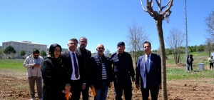 Sivas'ta şehitlerin adı fidanlarda yaşatılacak