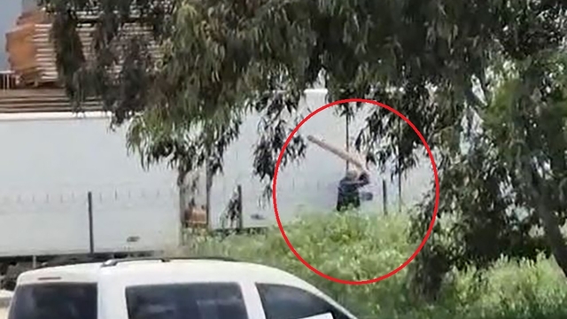 Tavuklarını yediği gerekçesiyle sokak köpeğini sopayla döven kişi gözaltında