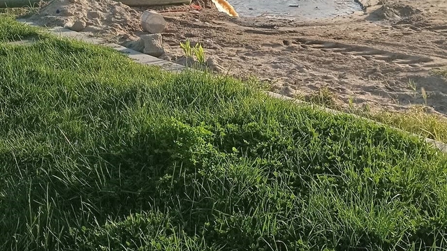 Burhaniye'de denize akan pis sular tepkiye neden oldu