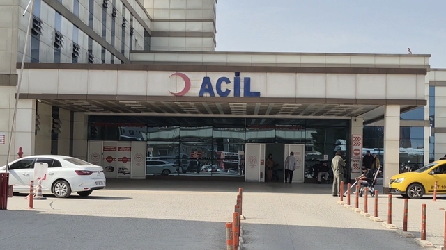 Baharla birlikte gelen kabus
Günlük hayatı olumsuz etkiliyor, geceleri uyutmuyor