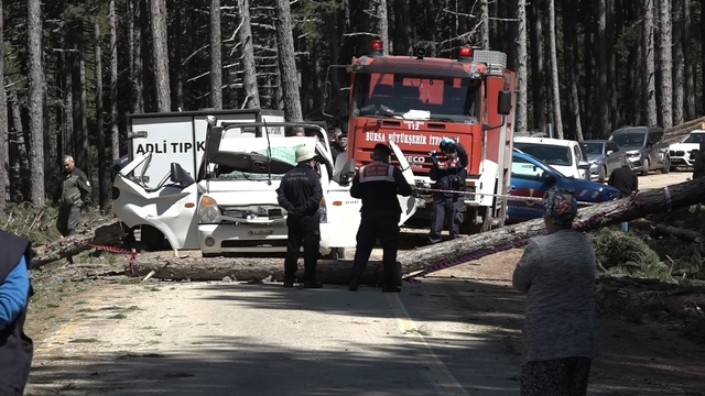 Uludağ'da inanılmaz olay...Kesilen ağaç seyir halindeki kamyonetin üzerine devrildi: 1 ölü
İşe giderken ölüm üzerine devrilen ağaçla geldi
