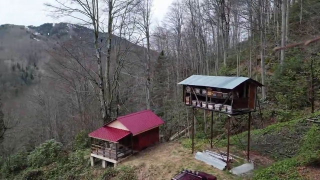 Ayının, demir direğe tırmanıp kovanlara ulaşmaya çalıştığı anlar kamerada