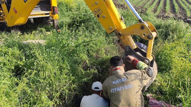 Antakya'da kuyuya düşen büyükbaş hayvan kurtarıldı