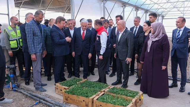 Erzincan'da tarımsal üretimi artıracak proje yerinde incelendi