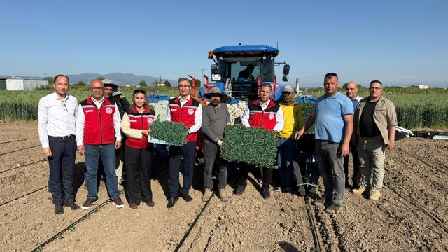 Manisa'da 131 bin dekarlık alanda domates mesaisi
Manisa Tarım ve Orman İl Müdürü Mehmet Karayılan:
"İlimizde ÇKS kayıtlarına göre yaklaşık 7 bin 500 üreticimiz 131 bin dekar alanda domates dikimi gerçekleştiriyor"