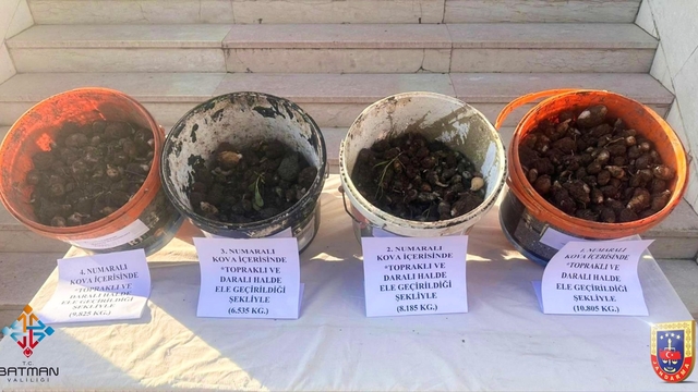 Sason'da endemik bitki operasyonu: 4 kişiye 2 milyon 8 bin lira ceza