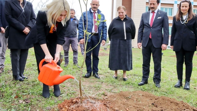 Akdeniz Üniversitesi'nde son 2 yılda 5 bin fidan dikildi