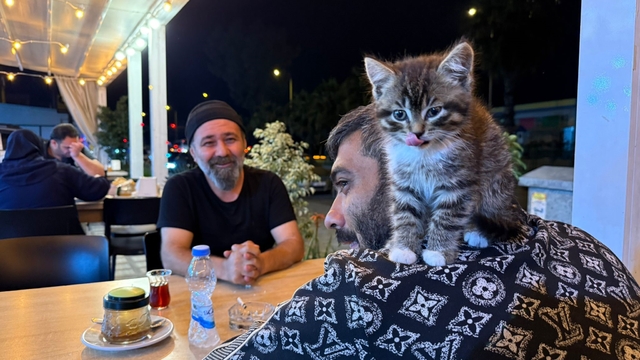 Madde bağımlılığından yavru kedi sayesinde kurtuldu
Madde bağımlılığıyla mücadele eden genç adam: "Ölene kadar onunla beraberiz"
Serik Kamu ve Toplum Yararına Uyuşturucuyla Mücadele Derneği Başkanı ve Kurucusu Fatih Süleyman Korkut:
"Ona kedi yavrusunun çok iyi geldiğini gördüm. Aralarında güzel bir bağ oldu, madde bağımlılığını kesinlikle çözdü"