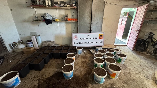 Yozgat'ta uyuşturucu yetiştirme düzeneği ve uyuşturucu madde ele geçirildi