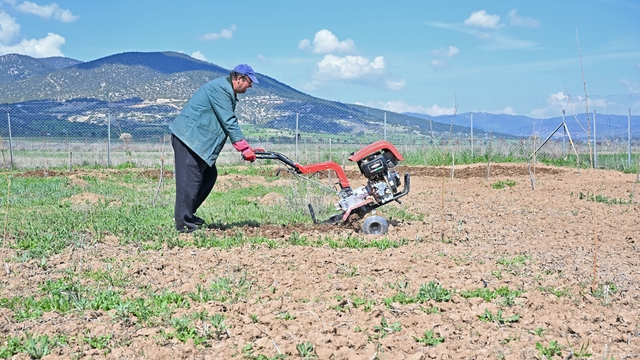 Büyükşehir ipek böceği yetiştiriciliğini yaygınlaştırıyor