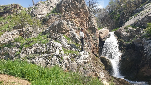 Galeri