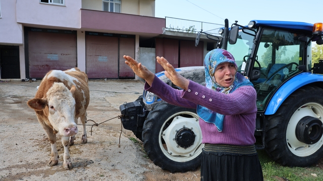Kozan'daki selde hayvanları telef olan kadın: "Bir anda sel geldi, ahırın üstünü aştı"