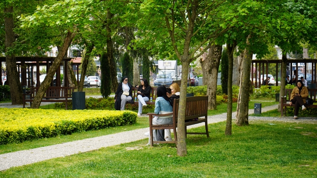 Sakarya'da güneşli havayı fırsat bilen vatandaşlar park ve caddelere akın etti
Vatandaşlar güneşin tadını böyle çıkardı