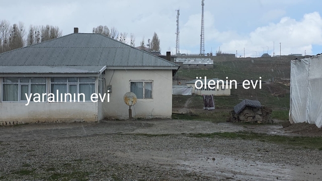 Köpek dehşetinin görüntüleri ortaya çıktı