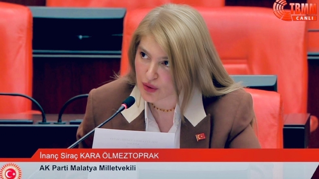 Malatya'nın dolu hasarı ve sanayi yatırımları TBMM gündeminde
Milletvekili Ölmeztoprak, meclis'te Malatya'yı konuştu