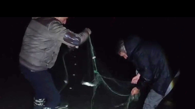 Van'da kaçak avlanan 100 kilo canlı inci kefali tekrar suya bırakıldı