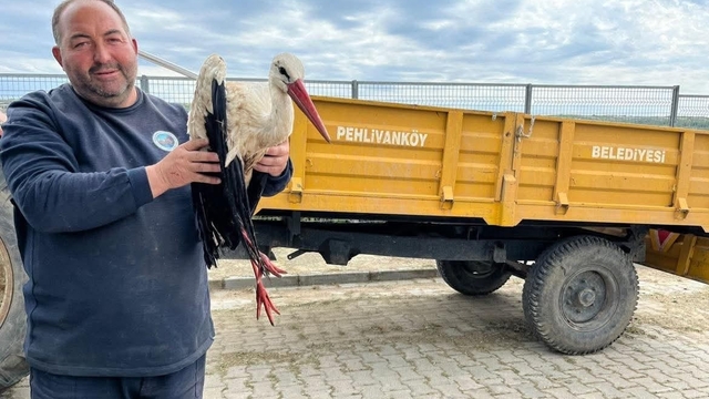 Kırklareli'de yaralı leyleğe şefkat eli