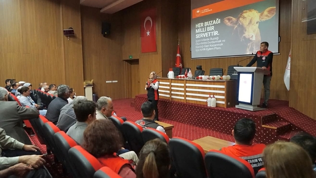 Muğla'da buzağı kayıplarını azaltmaya yönelik eğitimler başladı